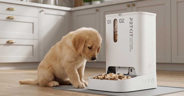 PETKIT Distributore Automatico Cibo 5L con telecamera HD 1080P e ciotola in acciaio inox per gatti e cani